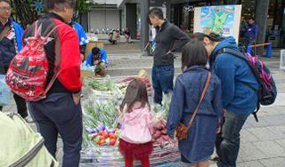 image7.jpg