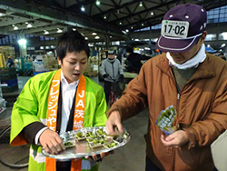 image3.jpg