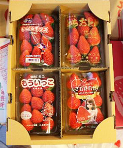 image2.jpg