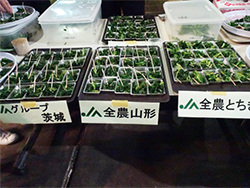image6.jpg
