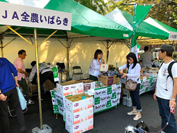 image2.jpg