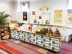 image5.jpg