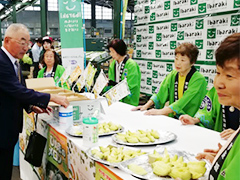 image2.jpg