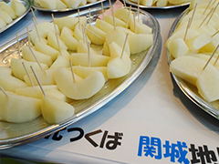 image7.jpg