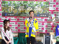 image2.jpg