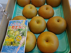 image2.jpg