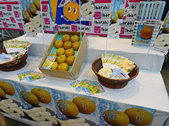 image3.jpg