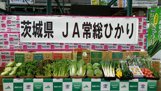 image8.jpg