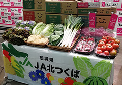 image3.jpg