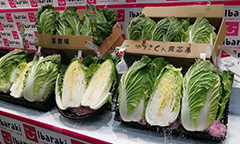 image8.jpg