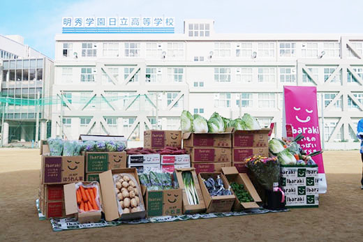 image2.jpg