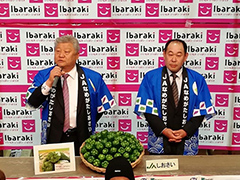 image2.jpg