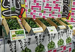 image8.jpg