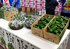 image9.jpg