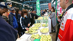 image2.jpg