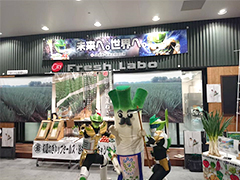 image5.jpg