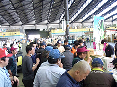 image3.jpg