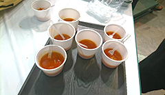 image4.jpg