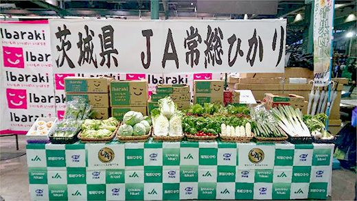 image8.jpg