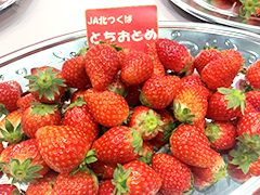 image4.jpg