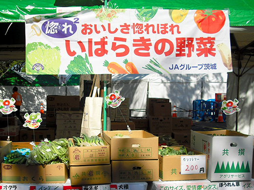 worldfesta2013_01.jpg
