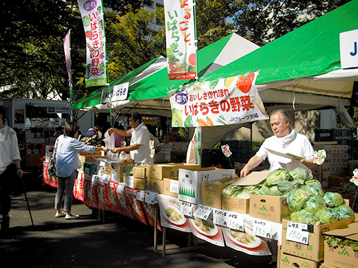 worldfesta2013_02.jpg