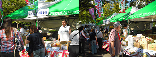 worldfesta2013_04.jpg