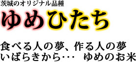 茨城のオリジナル品種 ゆめひたち