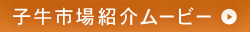 子牛市場紹介のムービー