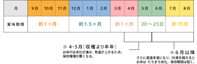 お米の賞味期限の目安