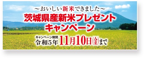 バナー画像
