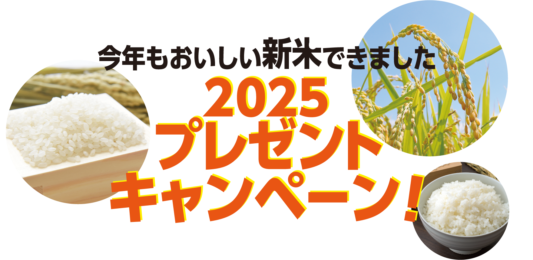 今年もおいしい新米できました。2025プレゼントキャンペーン