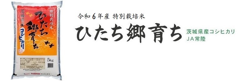 令和６年産 特別栽培米 ひたち郷育ち 茨城県産コシヒカリ JA常陸