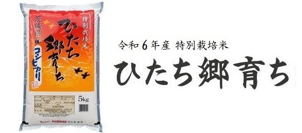 令和６年産 特別栽培米 ひたち郷育ち 茨城県産コシヒカリ JA常陸