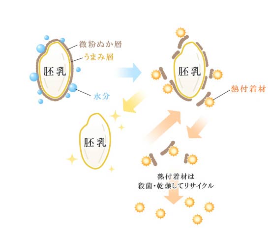無洗米の加工原理