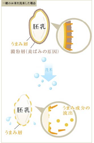 一般のお米を洗米した場合
