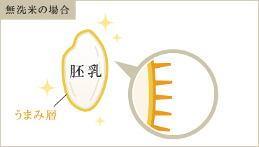 無洗米の場合