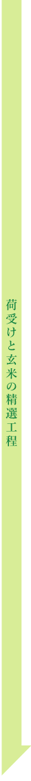 荷受けと玄米の精選工程