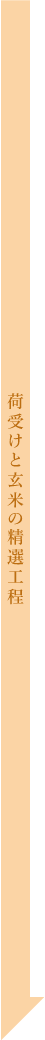 高性能全自動精米ＮＴＷＰ加工工程