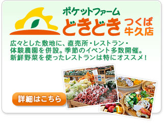 ポケットファームどきどきつくば牛久店