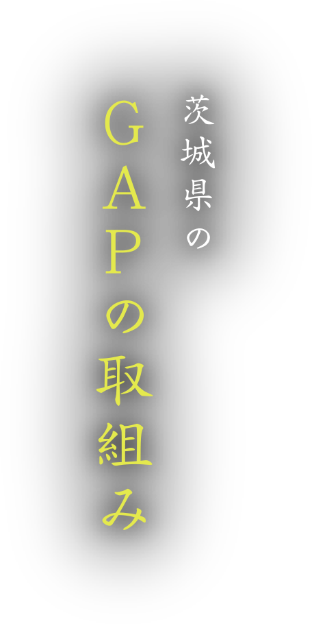 茨城県のGAPの取り組み