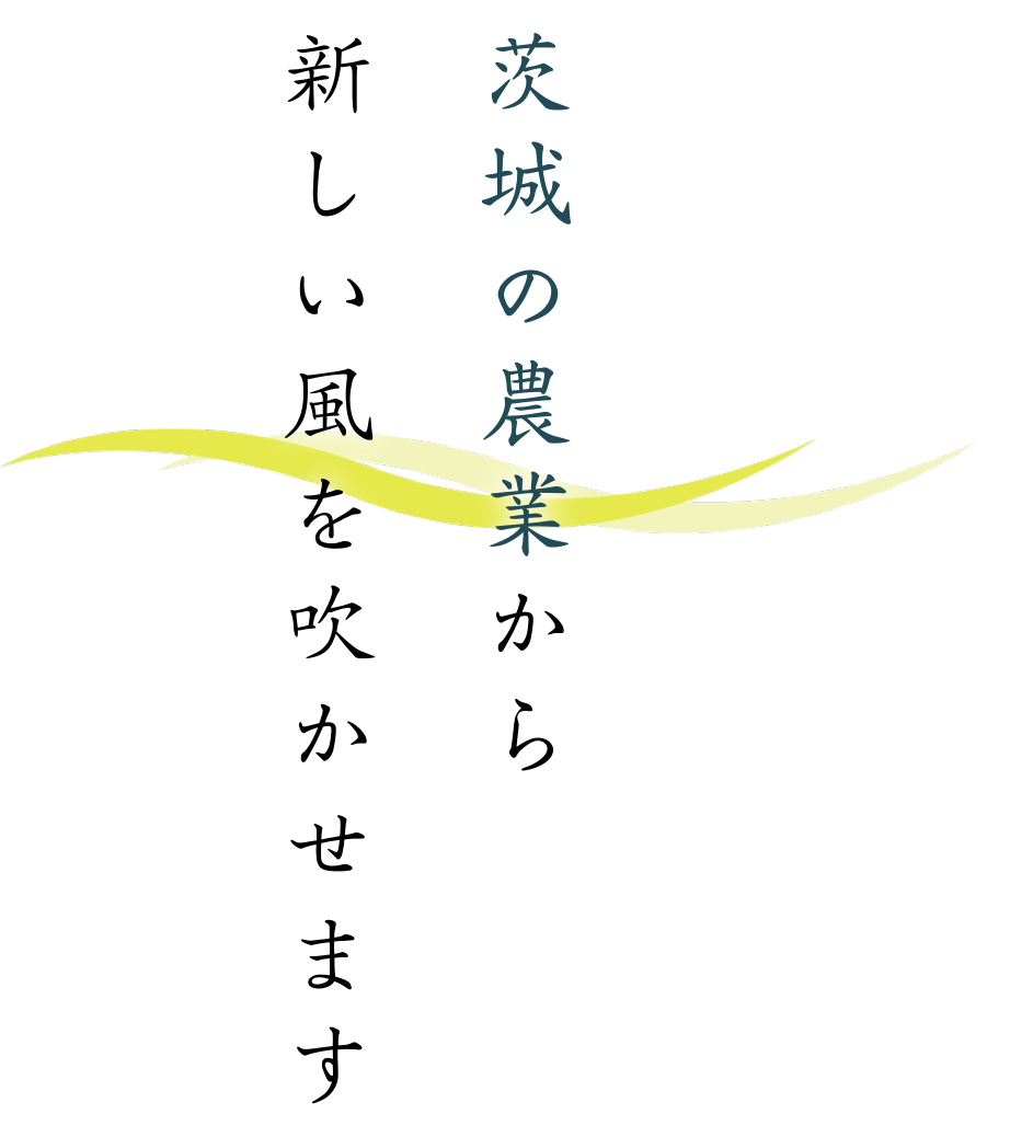 茨城の農業から新しい風を吹かせます