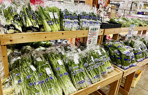 ギフト用メロン売り場の様子