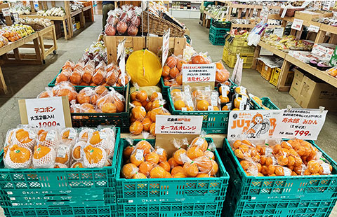 きのこ売り場の様子