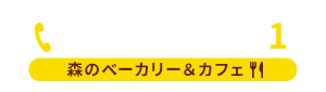 29-319-1166