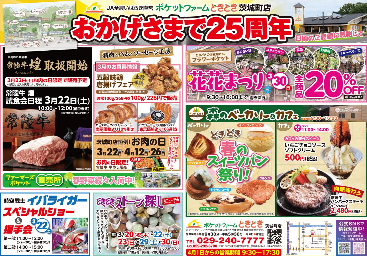 チラシイメージ