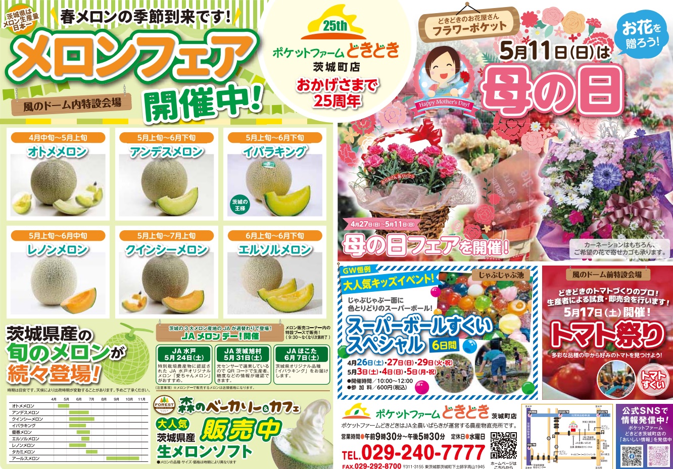 チラシイメージ