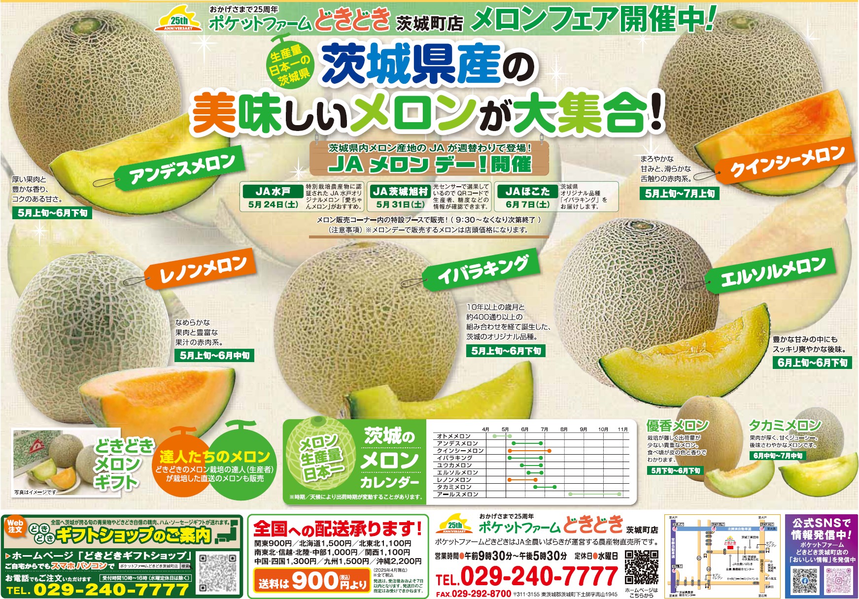 チラシイメージ