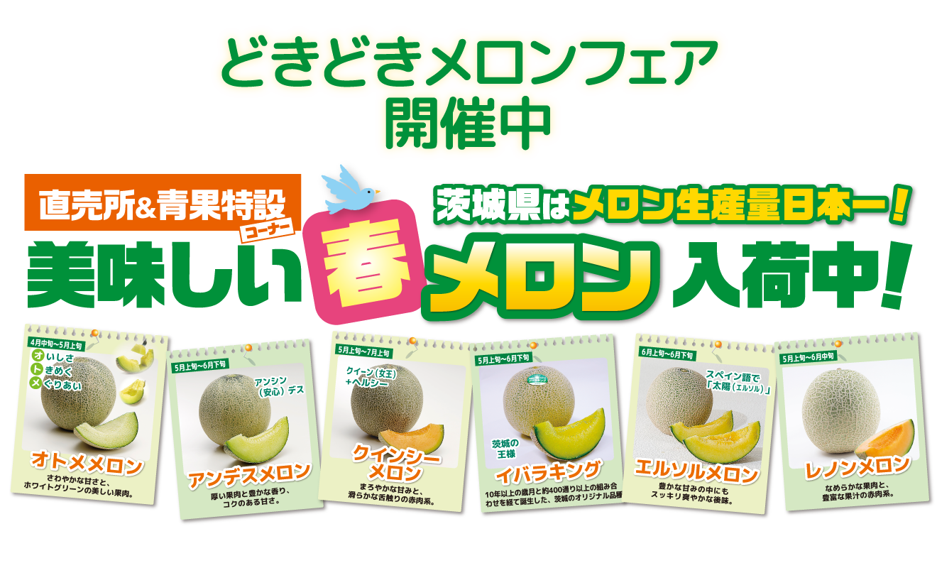 いばらきの旬のメロンが大集合！「どきどきメロンフェア」美味しい春メロン入荷中！