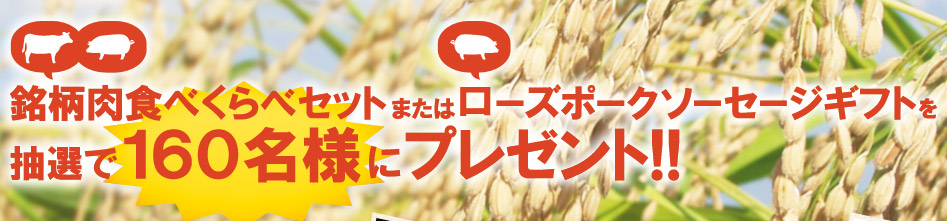 茨城県銘柄肉食べくらべセット(10,000円相当)または 茨城県銘柄豚ローズポークソーセージギフトを抽選で１６０名様にプレゼント!!